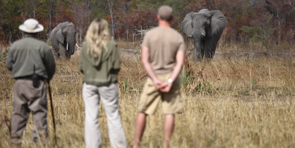 Ideal Safari clothing for Zambia