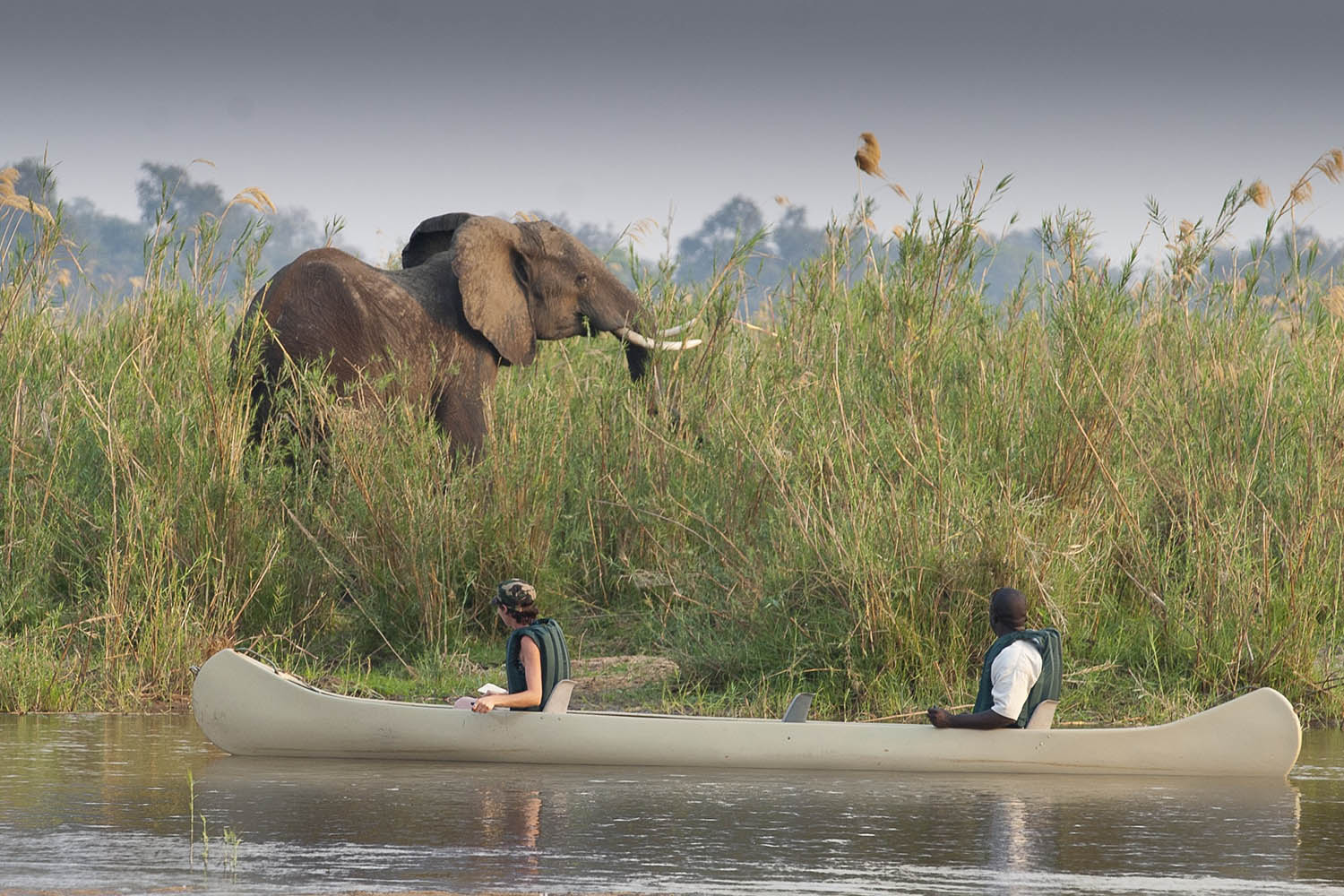 Canoeing near elephants